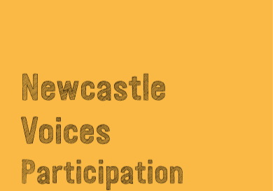 Newcastle Voices participation toolkit